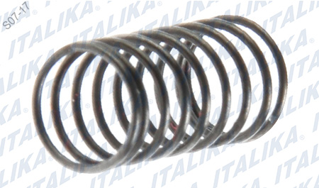 [E07060208] RESORTE VALVULA ACEITE B