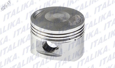 [E08010158] PISTON