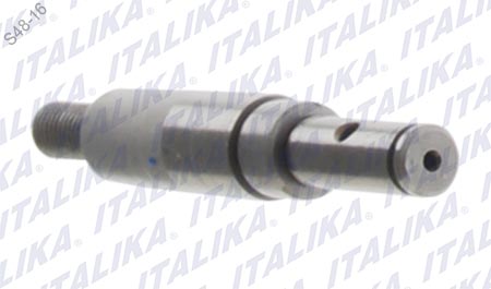 [E09010050] EJE BOMBA ACEITE