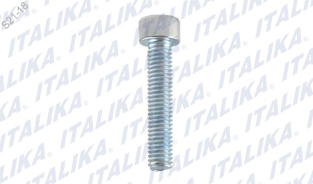 [E10060055] TORNILLO M6X30