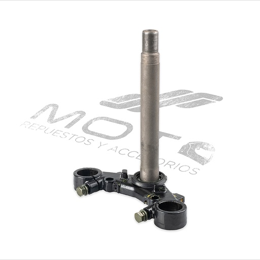 [F01010046] TELESCOPIO