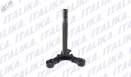 [F01010067] TELESCOPIO DIRECCION