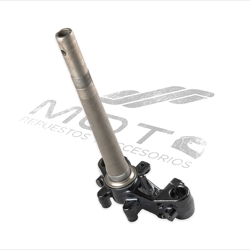 [F01010073] TELESCOPIO DIRECCION