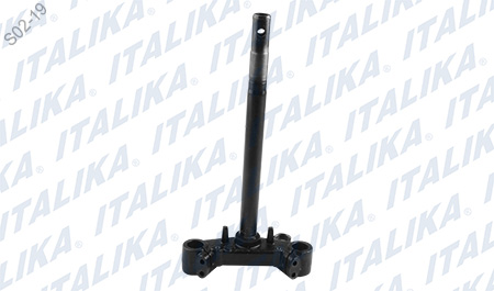 [F01010096] TELESCOPIO DIRECCION