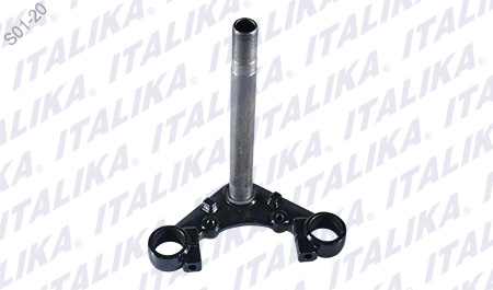 [F01010100] TELESCOPIO DIRECCION