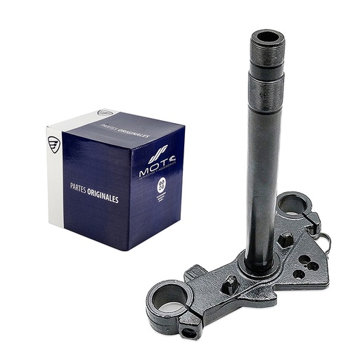 [F01010108] TELESCOPIO DIRECCION