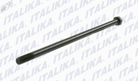 [F02010115] EJE DE HORQUILLA TRASERA