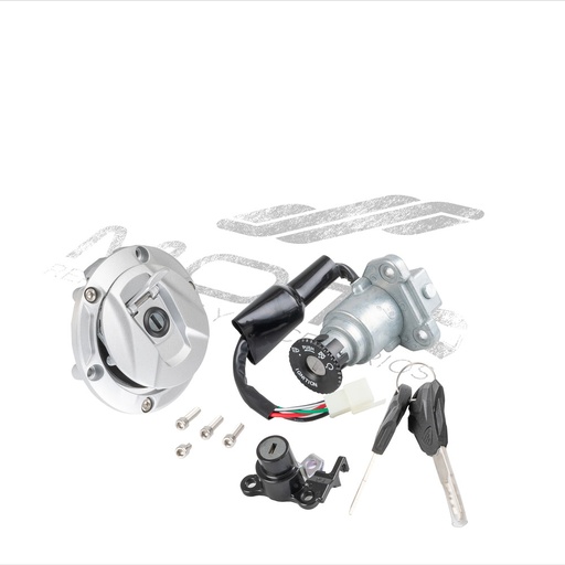 [F04020206] JUEGO CERRADURAS