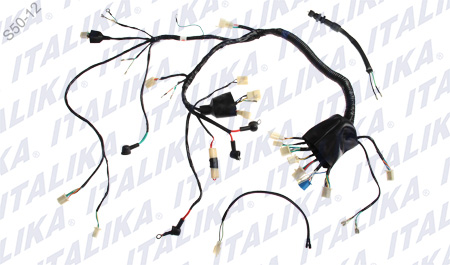 [F06050045] ARNES PRINCIPAL