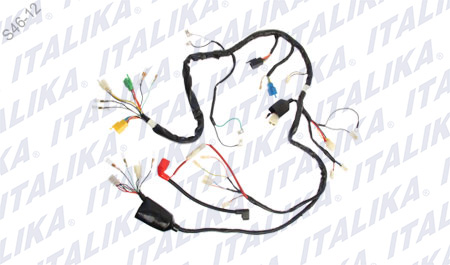 [F06050050] ARNES PRINCIPAL