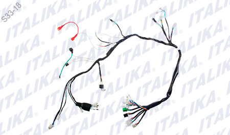 [F06050065] ARNES PRINCIPAL