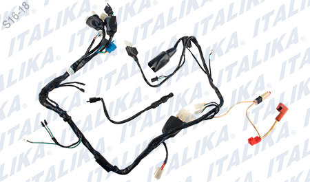 [F06050069] ARNES PRINCIPAL