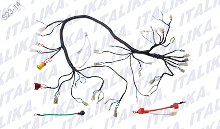 [F06050072] ARNES PRINCIPAL