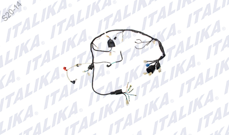 [F06050078] ARNES PRINCIPAL