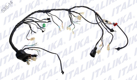 [F06050082] ARNÉS PRINCIPAL