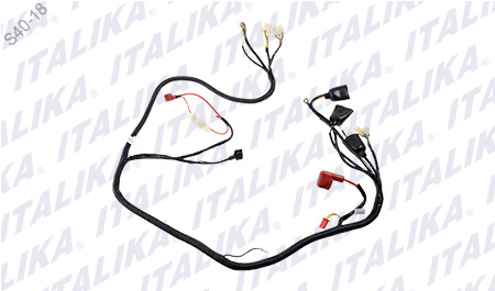 [F06050086] ARNES PRINCIPAL