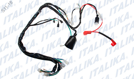 [F06050100] ARNES PRINCIPAL