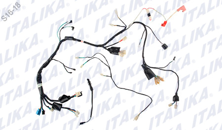 [F06050102] ARNÉS PRINCIPAL