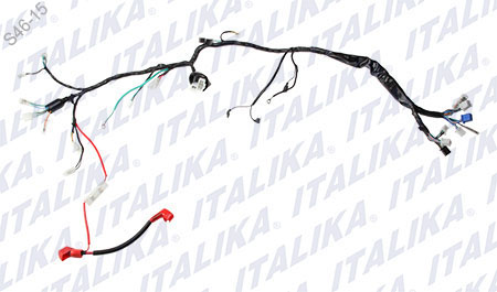 [F06050109] ARNES PRINCIPAL