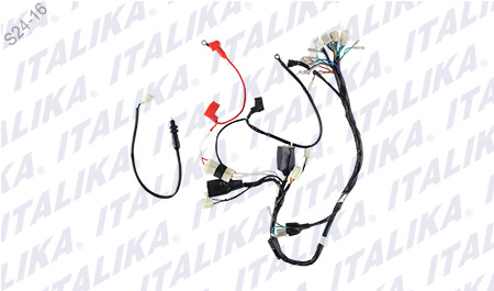 [F06050117] ARNES PRINCIPAL