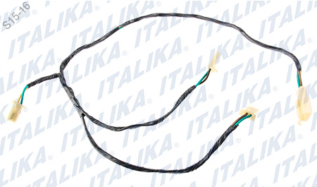 [F06050121] ARNES AUXILIAR