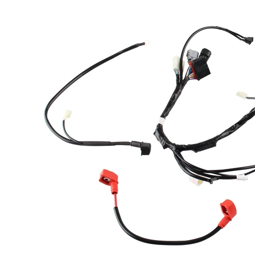 [F06050122] ARNES PRINCIPAL