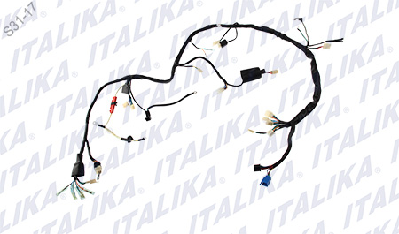 [F06050124] ARNES PRINCIPAL