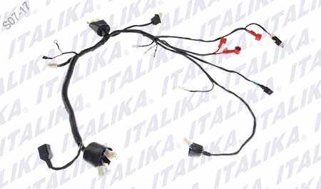 [F06050134] ARNES PRINCIPAL