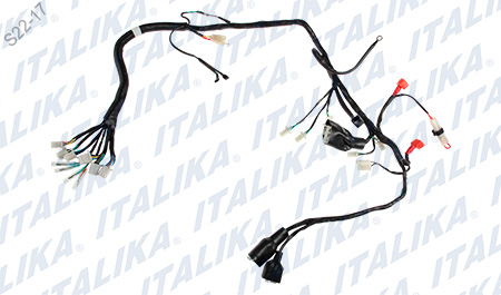 [F06050139] ARNES PRINCIPAL