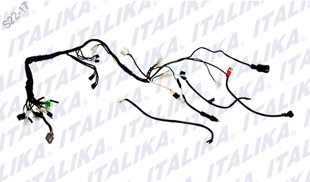 [F06050146] ARNÉS PRINCIPAL