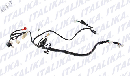 [F06050147] ARNES PRINCIPAL