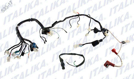 [F06050156] ARNES PRINCIPAL