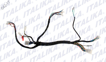 [F06050157] ARNES SUPLEMENTARIO