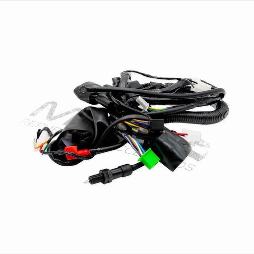 [F06050169] ARNES PRINCIPAL