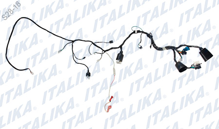 [F06050176] ARNES PRINCIPAL