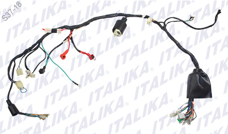 [F06050180] ARNES PRINCIPAL