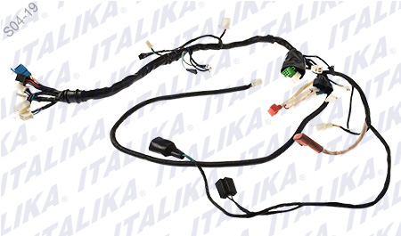 [F06050182] ARNES PRINCIPAL