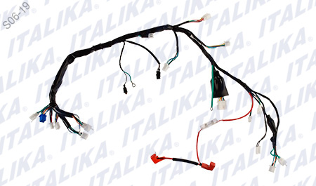 [F06050184] ARNES PRINCIPAL