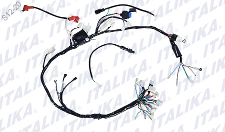 [F06050195] ARNES PRINCIPAL