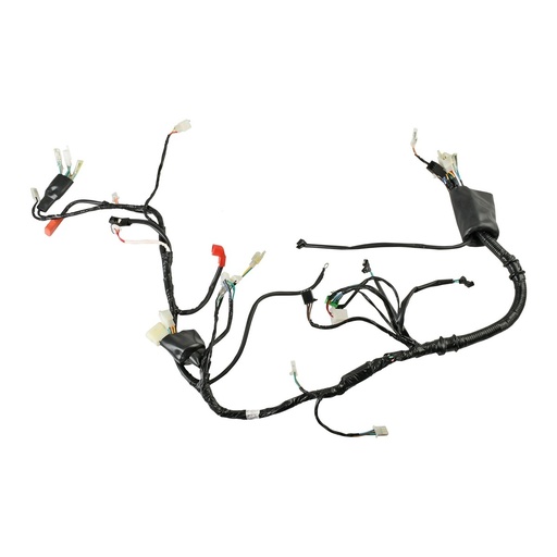 [F06050199] ARNES PRINCIPAL CONECTOR USB