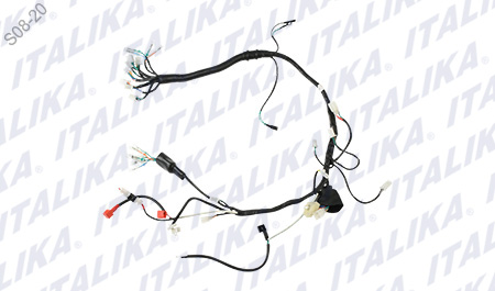 [F06050200] ARNES PRINCIPAL