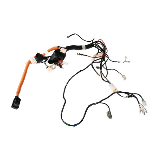 [F06050201] ARNES PRINCIPAL