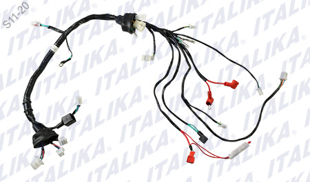 [F06050203] ARNES PRINCIPAL