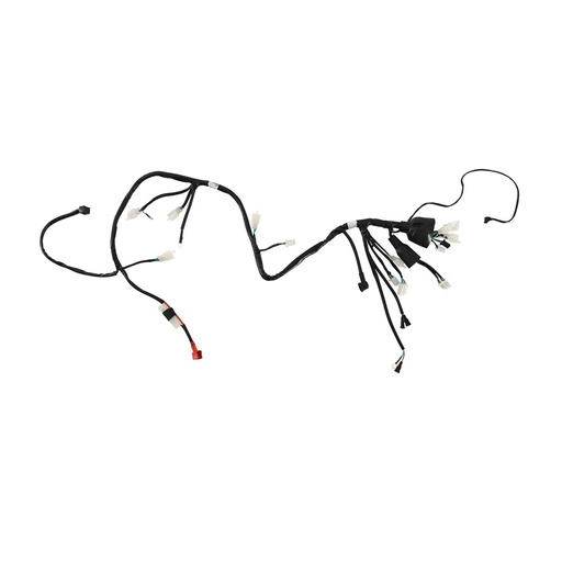 [F06050209] ARNES PRINCIPAL