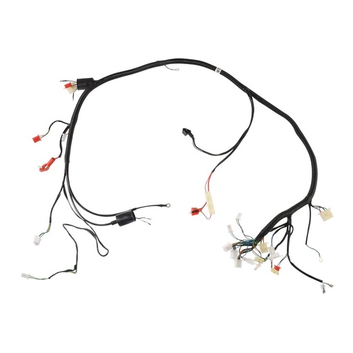 [F06050225] ARNES PRINCIPAL