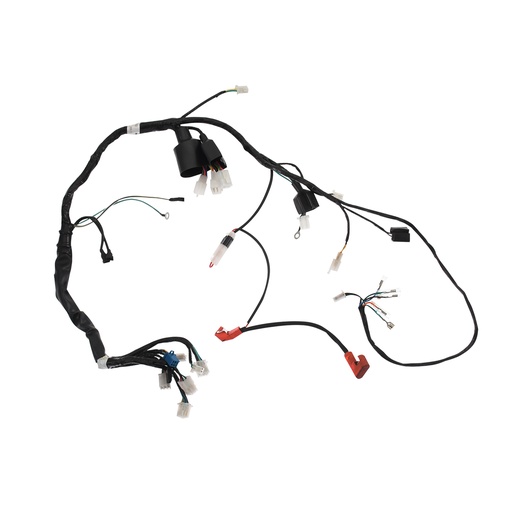 [F06050228] ARNES PRINCIPAL