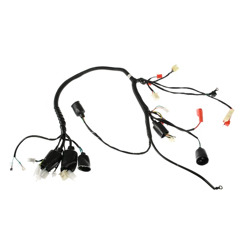 [F06050232] ARNES PRINCIPAL