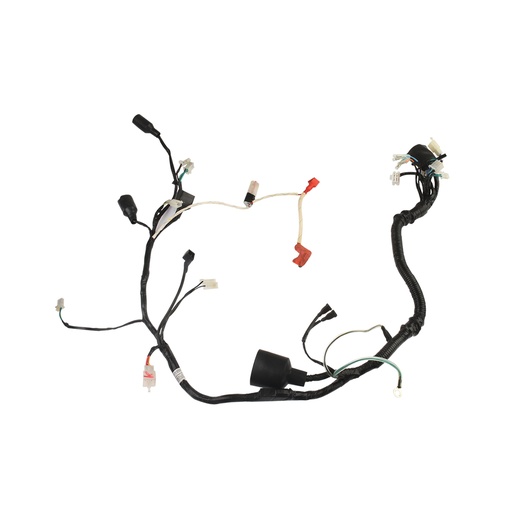 [F06050233] ARNES PRINCIPAL