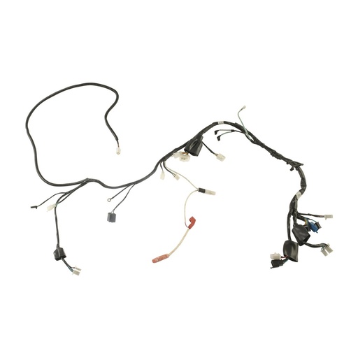 [F06050238] ARNES PRINCIPAL