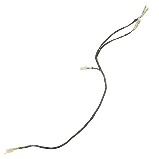 [F06050239] ARNES AUXILIAR